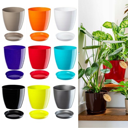 Plant flower pot plastic - flower,