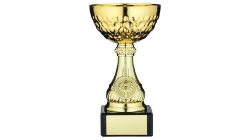 Gold multi sports trophy - gold,