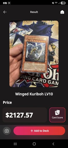Winged kuriboh lv10 - yu-gi-oh!,