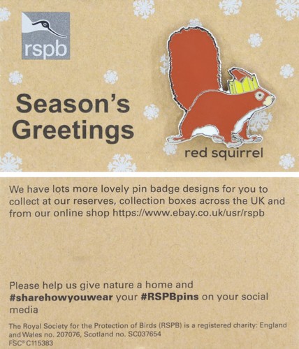 Rspb pin badge special red - rspb,