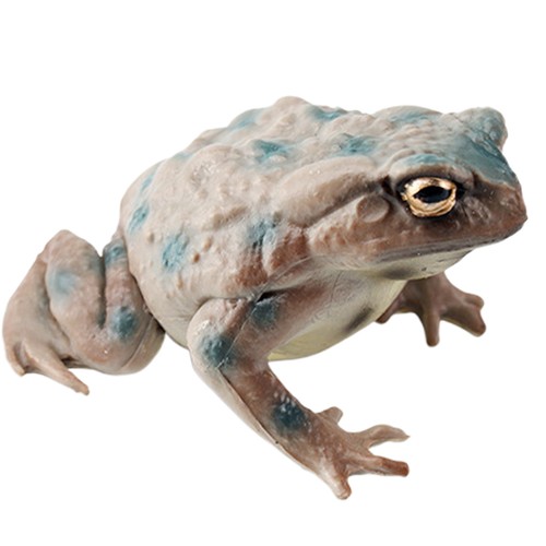 1pc frog figure realistic - frog,