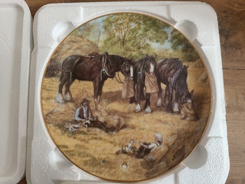 Magnificent shires plate - magnificent,