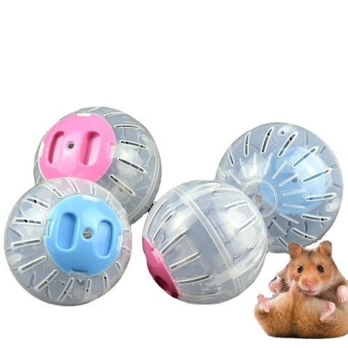 Small pet hamster - small,