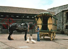 Postcard> Bickleigh Mill Farm