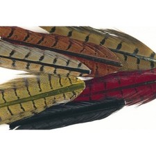 Cock Pheasant Centre Tails