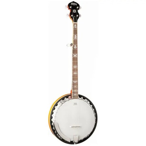 Washburn b10 banjo - b10,