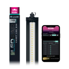 LumenIZE Jungle Dawn LED Bar
