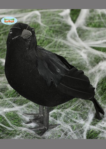 Halloween party black feather - party,