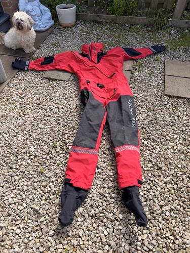 Ionic cyclone sar dry - cyclone,