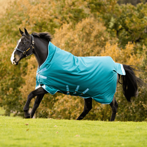 Horseware amigo bravo - amigo, 12