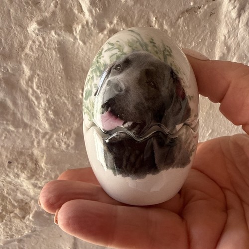 Novelty labrador dog salt - labrador,