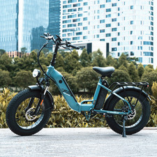 20in Fafrees Electric Bike