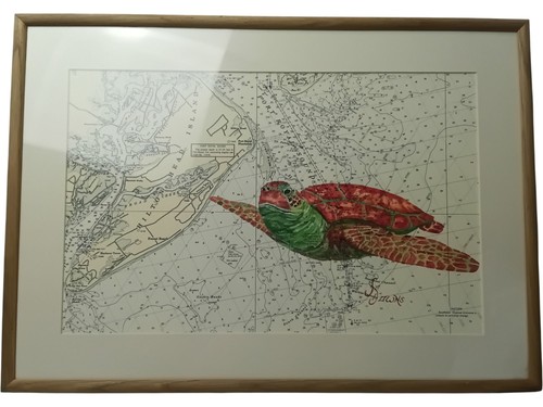 Fred downs nautical chart - fred, art