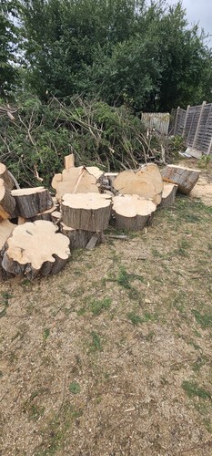 Cut chopped firewood logs - chopped,