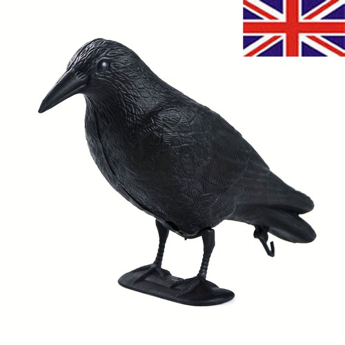 Pigeon scarer life size decoy - scarer,