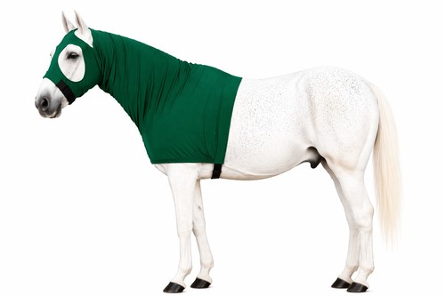 Lycra horse hood green - green, m