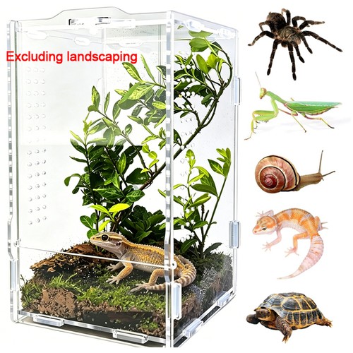 Jumping spider enclosure - jumping,