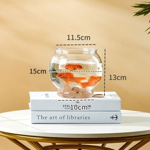 Plastic transparent round fish - plastic,