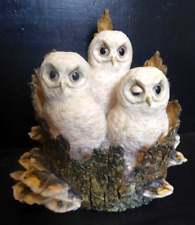 BORDER FINE ARTS   TAWNY  OWLETS   IN NEST    OWLS