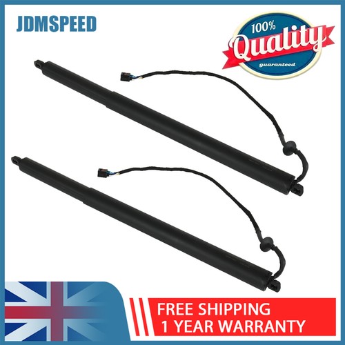 Electric tailgate gas strut - tailgate,