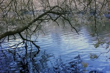 Infrared Modified 590nm Canon 400D camera body. Converted IR.