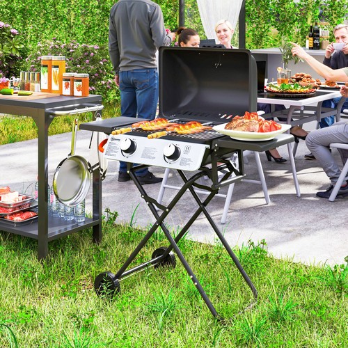 Portable foldable gas bbq - foldable,