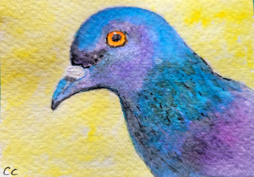 Aceo original watercolour - aceo,original,