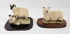 Border Fine Arts Black Faced