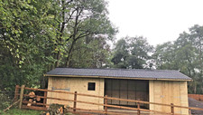 12ft x 30ft Horse Stables &