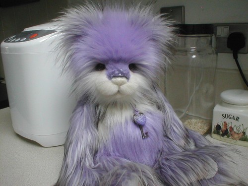 Charlie bears soda pop - charlie,