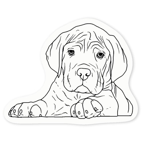 Cane corso puppy clear - corso,