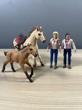 Schleich horse club toy - club,