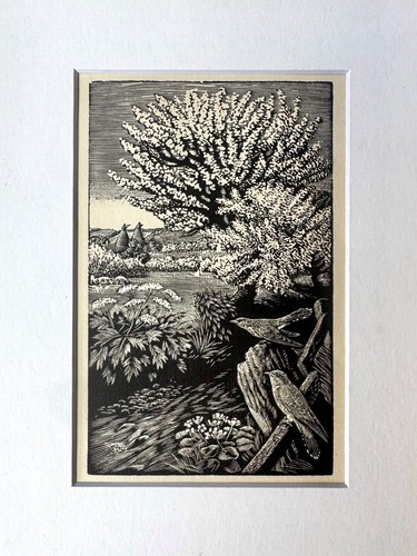 Vintage wood engraving print - ,