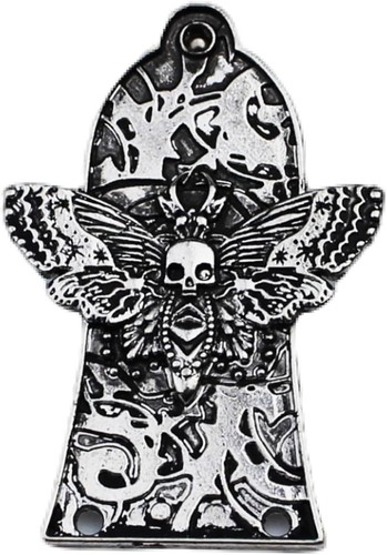 Guyker hole moth electric - hole,