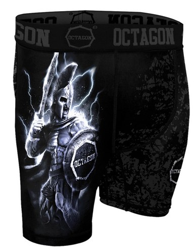 Octagon vale tudo - tudo, gladiator