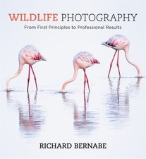 Richard Bernabe.: Wildlife