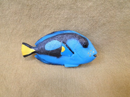2015 papo blue - papo:,