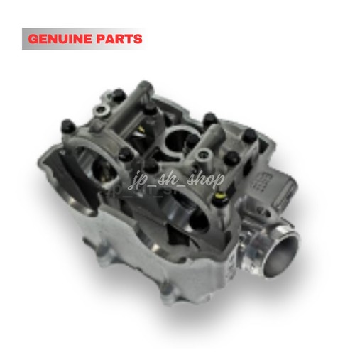 Yamaha genuine cylinder - cylinder, head