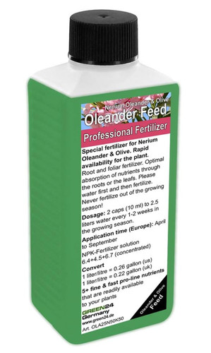 Green24 nerium oleander - nerium,