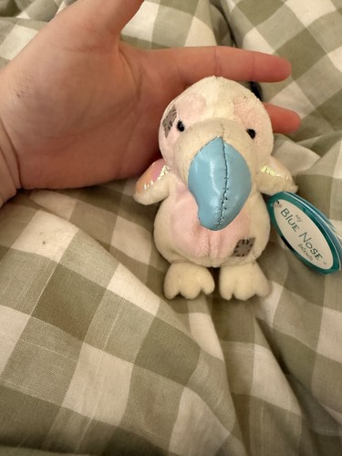 Blue nose friends limited - my,