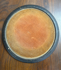 Antique Taxidermy/Jewellery