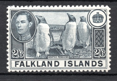 Falkland islands sg160 mnh - islands,