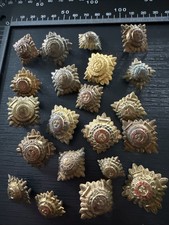 Job Lot Of 20 Officers PIPS  MIXED LOT B50