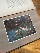 IN THE OPEN COUNTRY: The Work