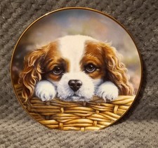 paul doyle Take me home