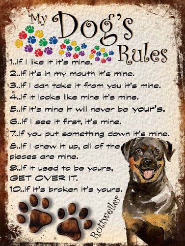 Dog rules retro - dog's,