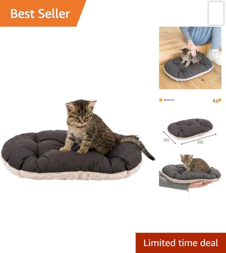 Small cat dog - small,
