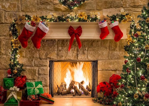 Ruini christmas backdrop - ruini,
