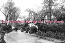 LC 528 - Hemington Lane