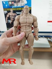Wind Toys 1/12 Male Muscle